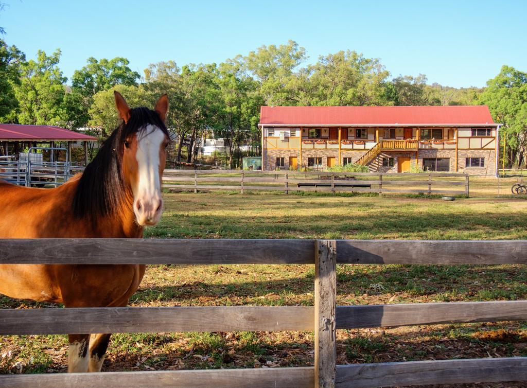 Pilliga Pottery Creative Farmstay クーナバラブラン 部屋 写真