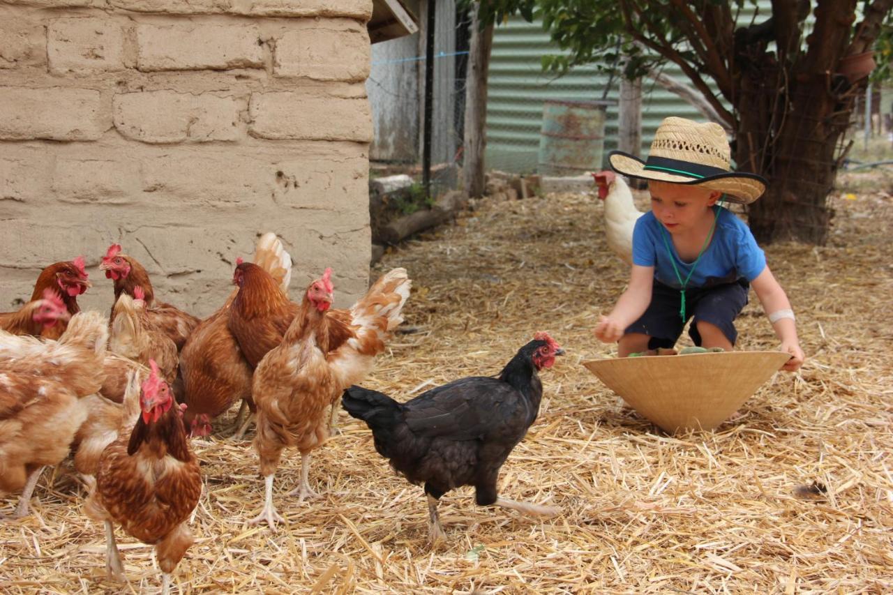 Pilliga Pottery Creative Farmstay クーナバラブラン エクステリア 写真